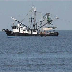 Meet your Posher, Josh